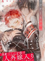 日本动画电影零号机动钢铁之诗封面